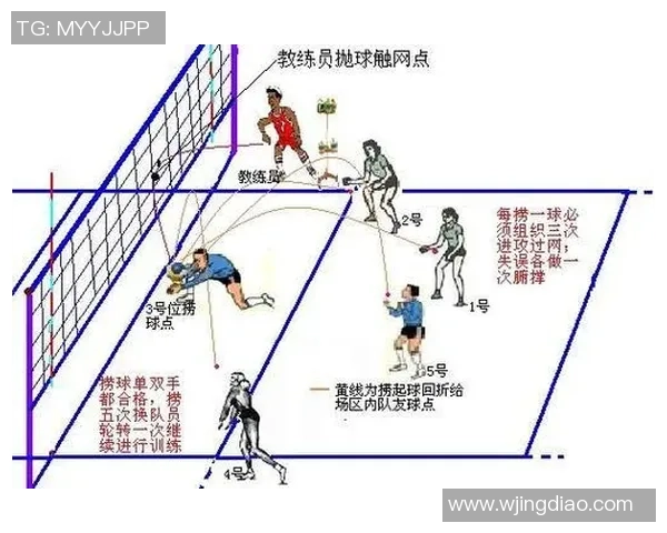从零开始掌握排球技巧与战术全面指南助你成为排球高手